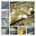 Chicken Cage System of Poultry Farm Equipments